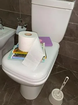 Stack of magazines, notebooks, and roll of toilet paper are placed on top  Stock Photos