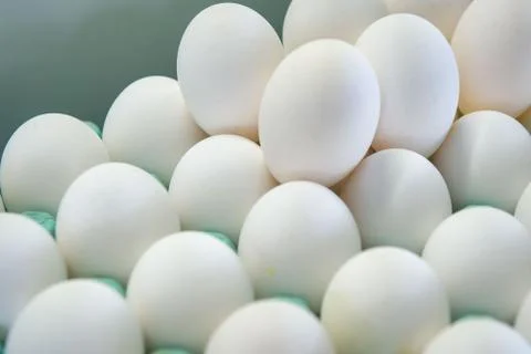 The stack of many white chicken eggs Stock Photos