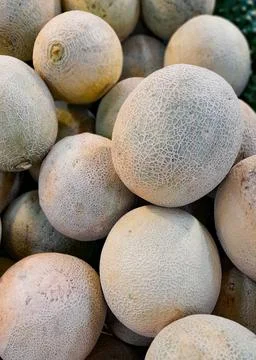 Stack of melon on the supermarket shelf Stock Photos