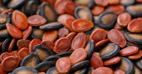 Stack of mix of black and red melon seed for lunar new year snack Stock Footage 106333623