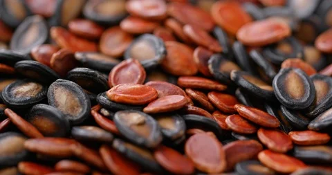Stack of mix melon and sunflower seed for lunar new year Stock Footage 106214727