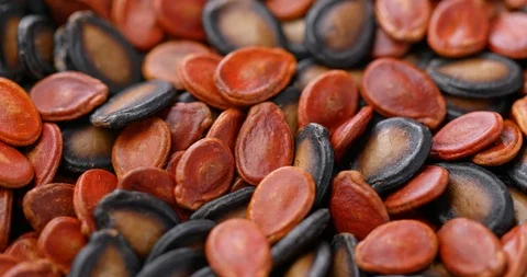 Stack of mix melon and sunflower seed for lunar new year Stock Footage 106741897