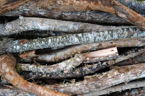 A stack of natural firewood logs all piled up on one another Stock Photos