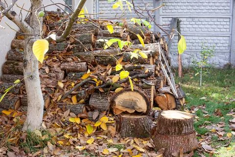 Stack of nature firewood for house heating in cold winter weather. prepare Stock Photos