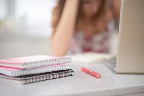 A stack of notebooks on the spiral girl student at the laptop Stock Photos