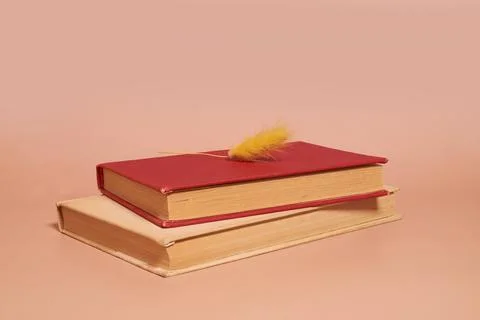 A stack of old battered books and dried lagurus flower Stock Photos