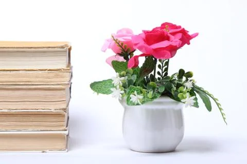 Stack of old books. flowers in pot Stock Photos