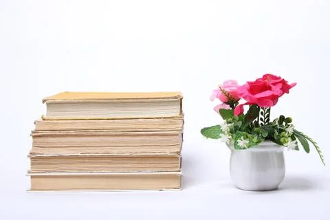 Stack of old books. flowers in pot Stock-Fotos