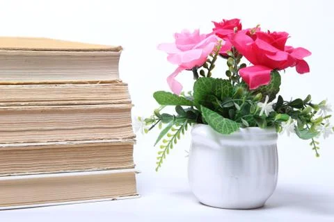 Stack of old books. flowers in pot Stock Photos
