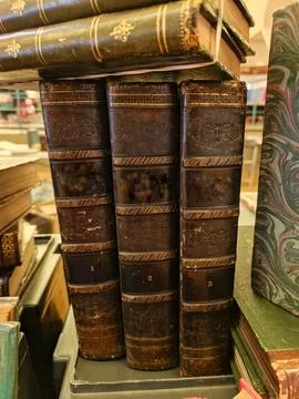 Stack of old leather bound books 库存照片