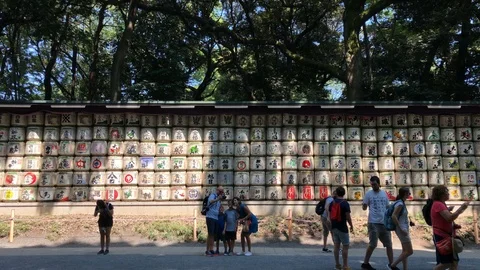 Stack of old sake barrels at meji jingu shrine, Tokyo Japan Stock Footage 100175828