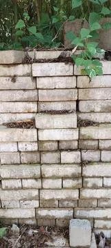 Stack of old, stained white bricks and ivy growing above Stock Photos