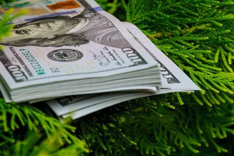 Stack of one hundred dollar bills on christmas tree. Stock Photos