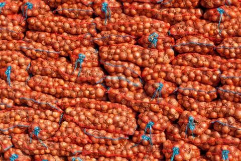 Stack of onion bag. onion  stacked for sale. Fresh onion in a market 스톡 사진