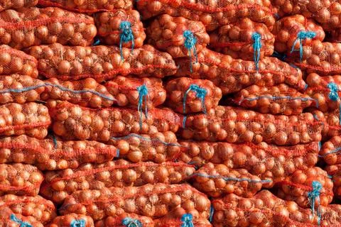 Stack of onion bag. onion  stacked for sale. Fresh onion in a market 스톡 사진