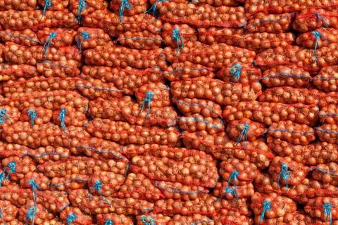 Stack of onion bag. onion  stacked for sale. Fresh onion in a market 스톡 사진