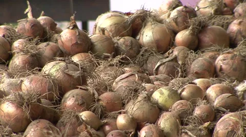 Stack of onion Stock Footage 41130847