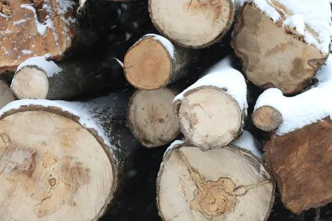 Stack or pile composed of blocks, pieces or logs of wood in winter or spring 스톡 사진