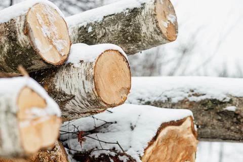 Stack or pile composed of blocks, pieces or logs of wood in winter or sprin.. Stock Photos