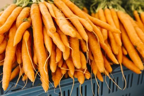 Stack orange harvested carrots Foto stock