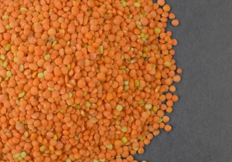 Stack of orange lentil seeds gathered together before a dark gray background Stock Photos