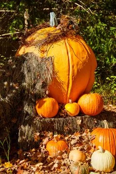 Stack of orange pumpkins on bales of hay with fall leaves Stock Photos