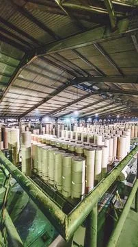 Stack paper rolls in the storage warehouse. Efficient Paper Manufacturing. Stock Photos