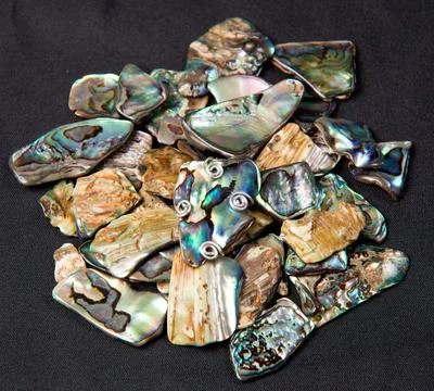 Stack of Paua shells from New Zealand with a single one encased in silver ... Stock Photos
