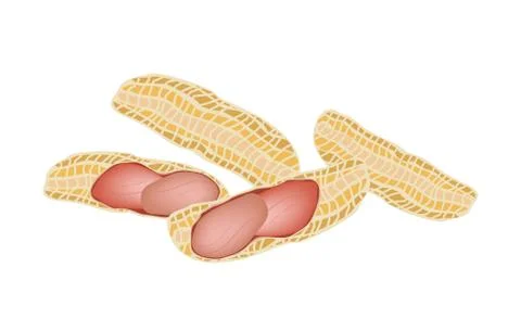 A Stack of Peanuts on White Background Stock Illustration