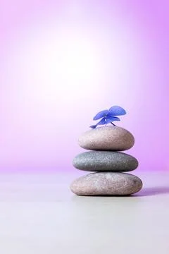 Stack of pebbles with flower, relax calm concept. Ultraviolet background. Stock Photos
