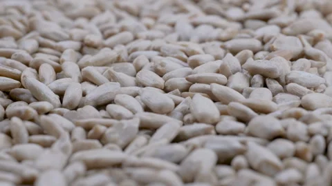 Stack of peeled sunflower seeds. Slider shot. Depth of field Stock Footage 296554721