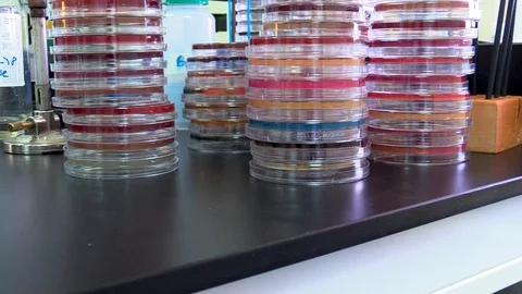 Stack of petri dishes Stock-Footage 128754153