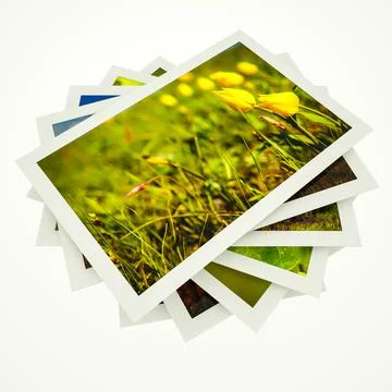 Stack of photographs of nature in white frames on a white background. 3d rend 스톡 일러스트