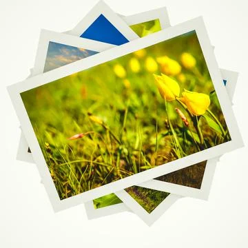 Stack of photographs of nature in white frames on a white background. 3d rend Stock-Illustration