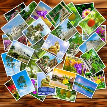 A stack of photographs Stock-Fotos