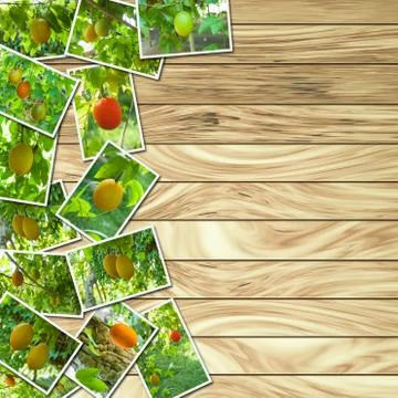 Stack Photos of Gac fruit Stock Photos