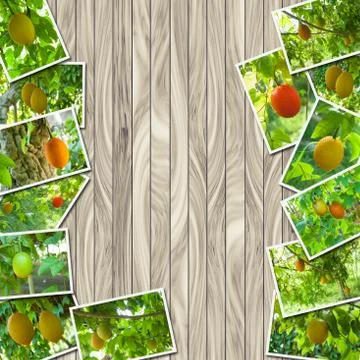 Stack Photos of Gac fruit Stock-Fotos