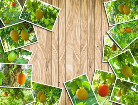 Stack Photos of Gac fruit Stock Photos