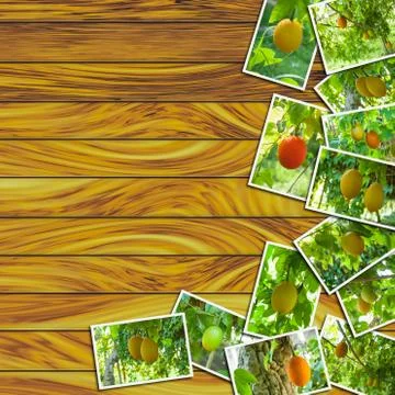 Stack Photos of Gac fruit Stock Photos