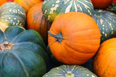 Stack, pile of colorful autumn pumpkins of various shapes and sizes, season.. Stockfoto's