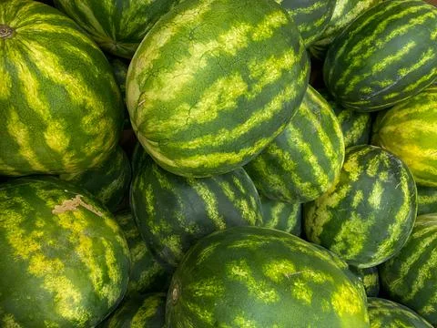 Stack pile of watermelons fruit stand fresh produce and vegetables arranged 스톡 사진