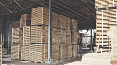 Stack of pile wood bar in lumber yard factory use for construction wood industr Vídeo Stock 60705147