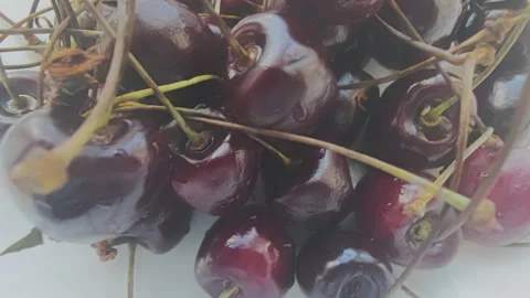 Stack of plump, flavorful cherries still attached to their stems, spinning Stock Footage 346311032