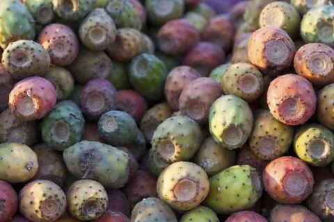 Stack of prickly pears on a market stall Foto stock