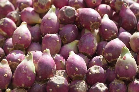 Stack of prickly pears on a market stall Stock Photos