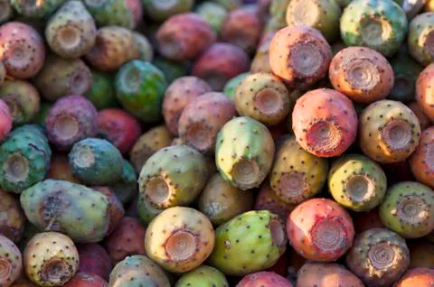 Stack of prickly pears Foto stock