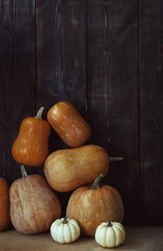 Stack of pumpkins after harvesting Stock Photos
