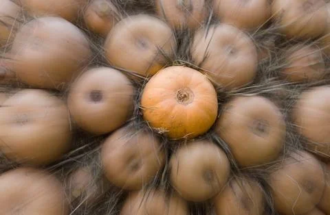 Stack of pumpkins autumn background design effect speed line acceleration Stock Photos