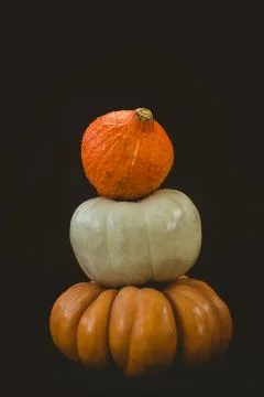 Stack of pumpkins 스톡 사진