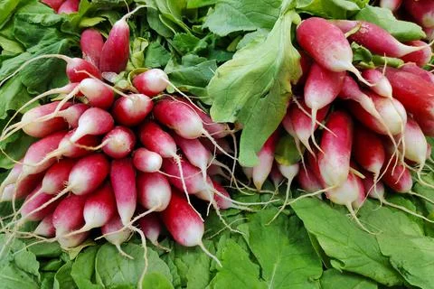 Stack of radishes on a market stall 스톡 사진